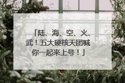 陆、海、空、火、武！五大硬核天团喊你一起来上号！
