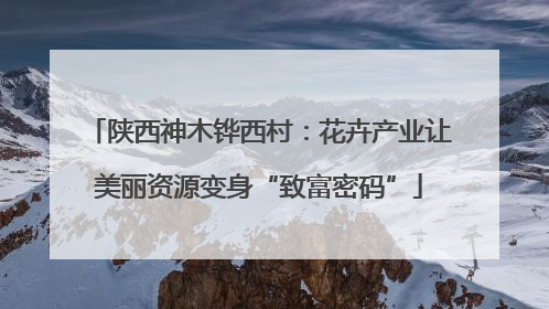 陕西神木铧西村：花卉产业让美丽资源变身“致富密码”
