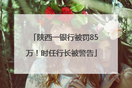 陕西一银行被罚85万！时任行长被警告