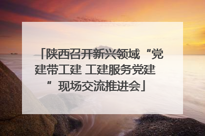 陕西召开新兴领域“党建带工建 工建服务党建”现场交流推进会