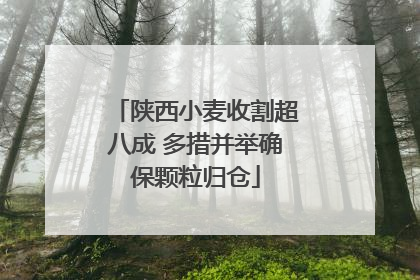 陕西小麦收割超八成 多措并举确保颗粒归仓