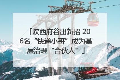 陕西府谷出新招 206名“快递小哥”成为基层治理“合伙人”