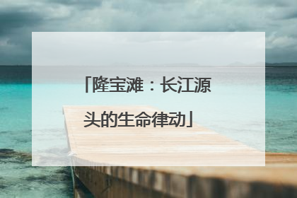 隆宝滩：长江源头的生命律动