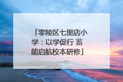 零陵区七里店小学:以学促行 蓄能启航校本研修