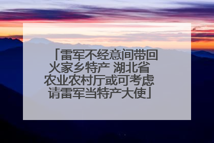 雷军不经意间带回火家乡特产 湖北省农业农村厅或可考虑请雷军当特产大使