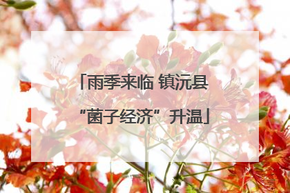 雨季来临 镇沅县“菌子经济”升温