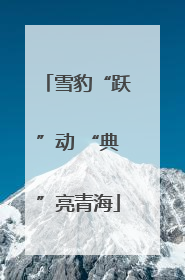 雪豹“跃”动 “典”亮青海
