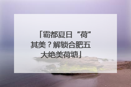 霸都夏日“荷”其美？解锁合肥五大绝美荷塘