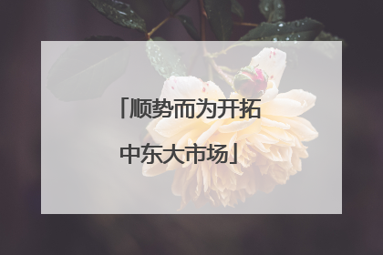 顺势而为开拓中东大市场