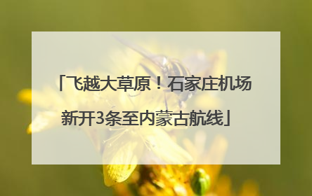 飞越大草原！石家庄机场新开3条至内蒙古航线