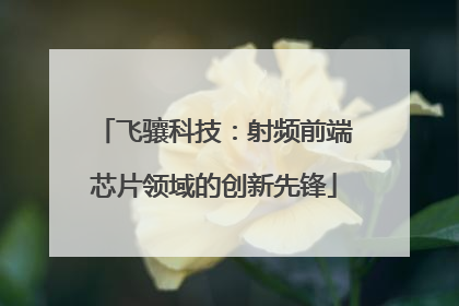 飞骧科技：射频前端芯片领域的创新先锋