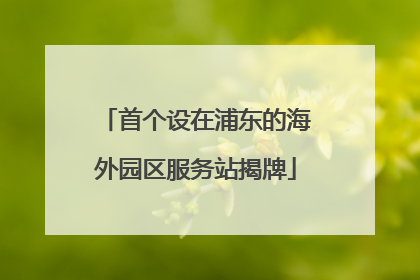 首个设在浦东的海外园区服务站揭牌
