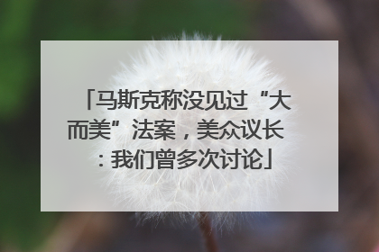 马斯克称没见过“大而美”法案，美众议长：我们曾多次讨论