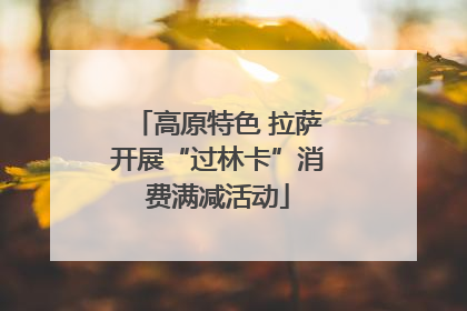 高原特色 拉萨开展“过林卡”消费满减活动