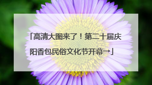 高清大图来了！第二十届庆阳香包民俗文化节开幕→