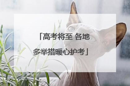 高考将至 各地多举措暖心护考