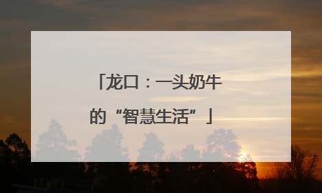 龙口：一头奶牛的“智慧生活”