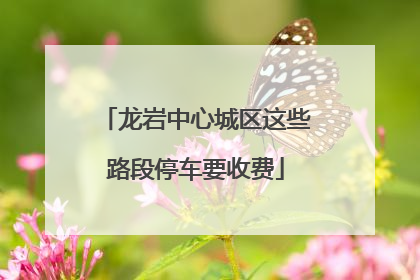 龙岩中心城区这些路段停车要收费