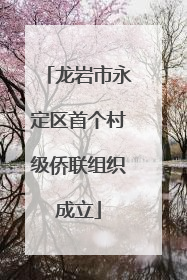 龙岩市永定区首个村级侨联组织成立