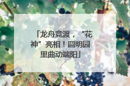 龙舟竞渡，“花神”亮相！圆明园里曲动端阳