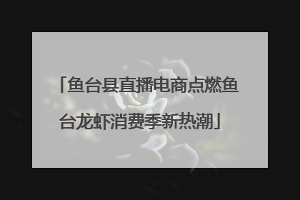 鱼台县直播电商点燃鱼台龙虾消费季新热潮
