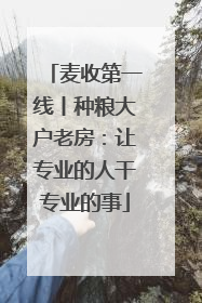 麦收第一线丨种粮大户老房：让专业的人干专业的事