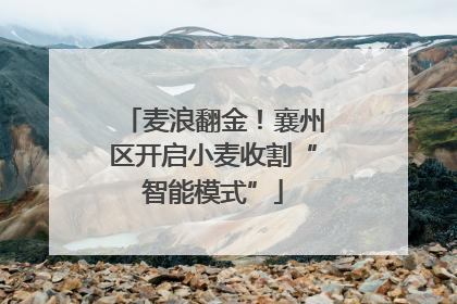 麦浪翻金！襄州区开启小麦收割“智能模式”