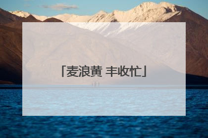 麦浪黄 丰收忙