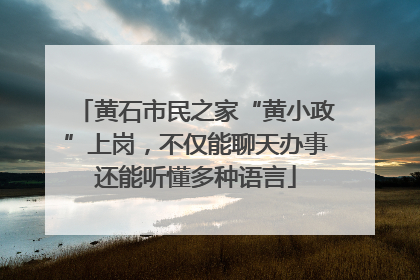黄石市民之家“黄小政”上岗，不仅能聊天办事还能听懂多种语言