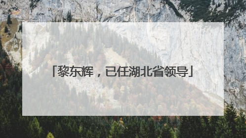 黎东辉，已任湖北省领导