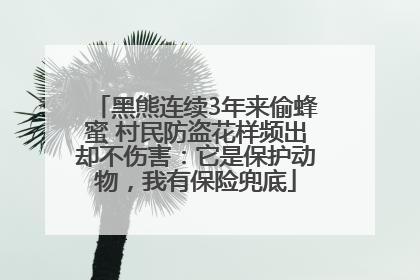 黑熊连续3年来偷蜂蜜 村民防盗花样频出却不伤害：它是保护动物，我有保险兜底
