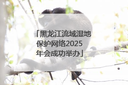 黑龙江流域湿地保护网络2025年会成功举办
