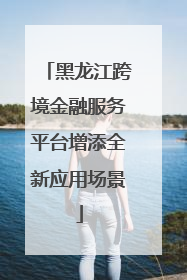 黑龙江跨境金融服务平台增添全新应用场景