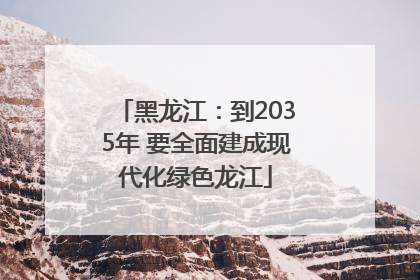 黑龙江：到2035年 要全面建成现代化绿色龙江