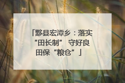 黟县宏潭乡：落实“田长制” 守好良田保“粮仓”