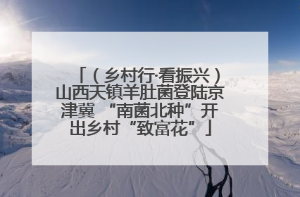 （乡村行·看振兴）山西天镇羊肚菌登陆京津冀 “南菌北种”开出乡村“致富花”
