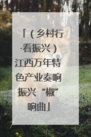 （乡村行·看振兴）江西万年特色产业奏响振兴“椒”响曲