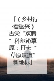 （乡村行·看振兴）舌尖“欢腾”科尔沁草原：打卡“草原味道”新地标