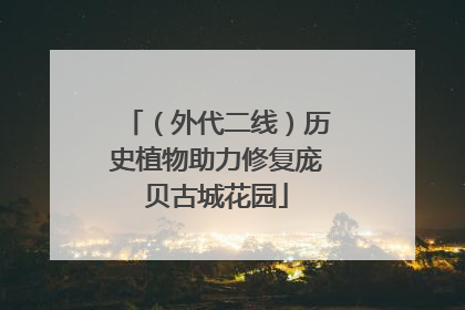 （外代二线）历史植物助力修复庞贝古城花园