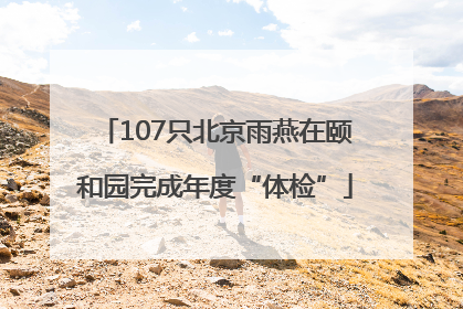 107只北京雨燕在颐和园完成年度“体检”