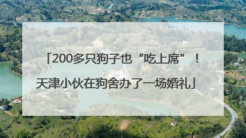 200多只狗子也“吃上席”！天津小伙在狗舍办了一场婚礼