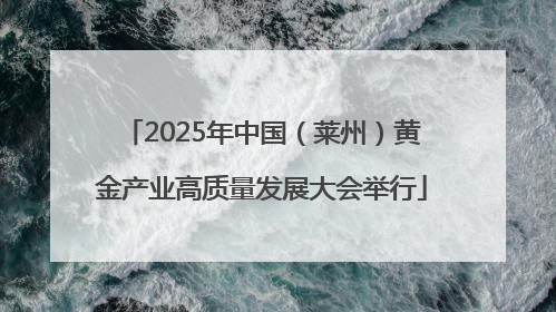 2025年中国（莱州）黄金产业高质量发展大会举行