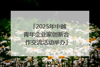 2025年中越青年企业家创新合作交流活动举办
