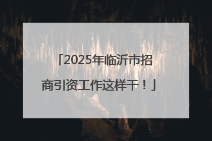 2025年临沂市招商引资工作这样干！