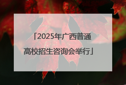2025年广西普通高校招生咨询会举行