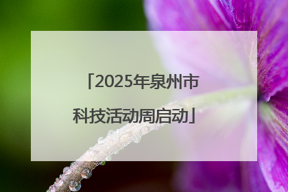2025年泉州市科技活动周启动