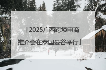 2025广西跨境电商推介会在泰国曼谷举行
