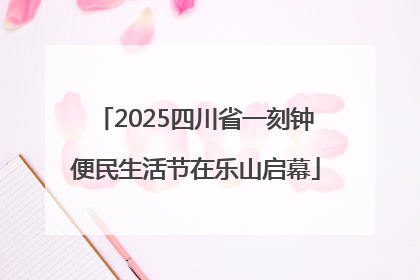 2025四川省一刻钟便民生活节在乐山启幕