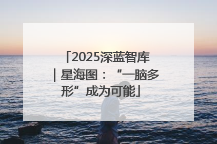 2025深蓝智库｜星海图：“一脑多形”成为可能