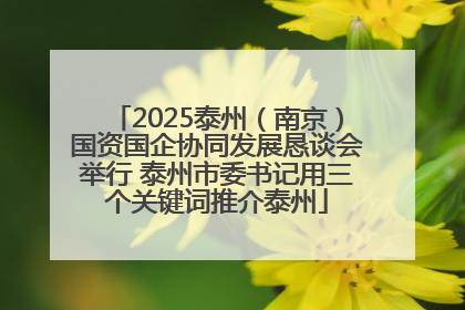 2025泰州（南京）国资国企协同发展恳谈会举行 泰州市委书记用三个关键词推介泰州